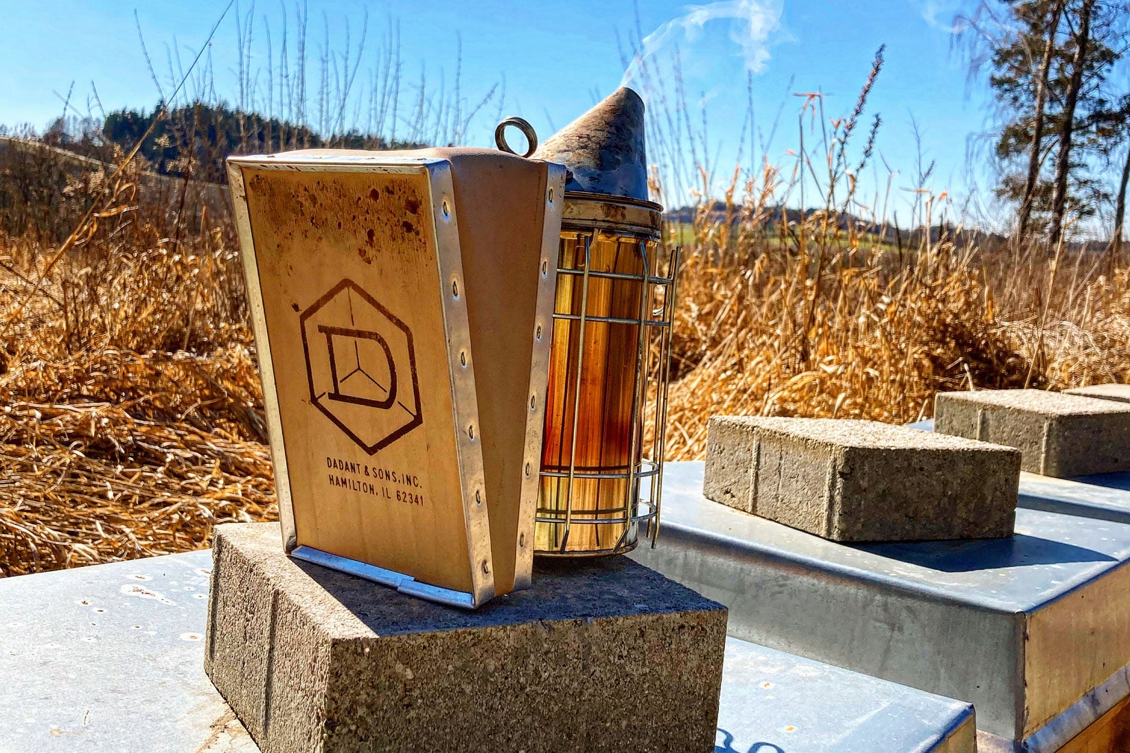 Bienen Max Honigernte