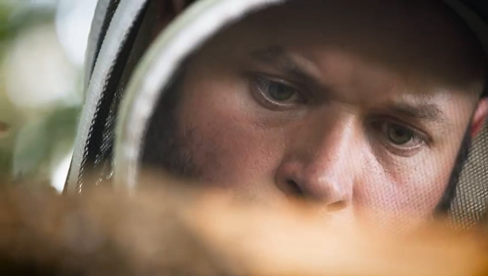 Bienen Max Honigernte