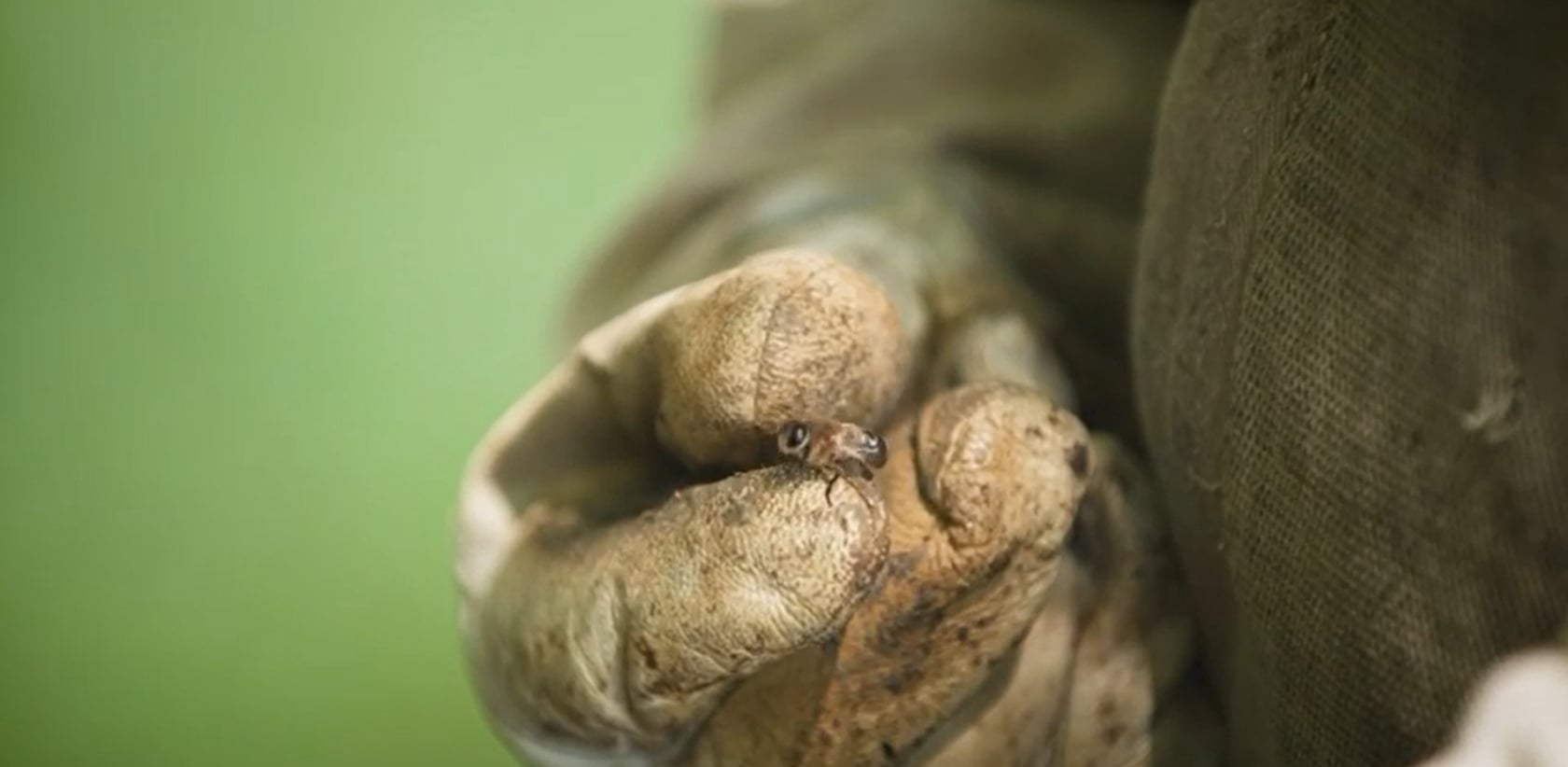 Bienenhonig aus Niederbayern